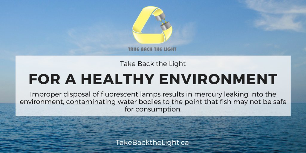 Take Back the Light supports and fights for the health of water bodies of all types by ensuring mercury from improperly disposed-of lightbulbs never reach them. Visit takebackthelight.ca for more info 

#WorldOceanDay #WorldOceansDay