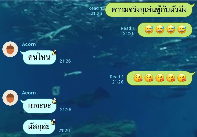 โคตรแย่