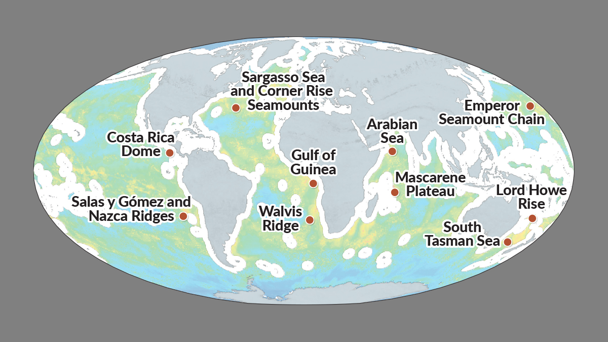 pewenvironment's tweet image. The high seas represent 2/3 of our ocean, but only 1% are protected. 

Our new report illustrates how a high seas treaty would safeguard international waters—including 10 potential marine protected areas. #WorldOceansDay pew.org/2XpK2o9