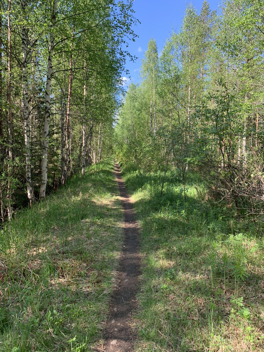 Nää tiimin yhteiset kävelypalaverit luurit korvissa voisi jäädä osaksi arkea koronan jälkeenkin👌Tänään liikkeellä #rovaniemi #raahe #kuusamo #oulu <a href="/nordea/">Nordea</a> #premiumbanking