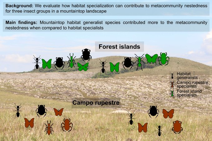 for_synthesis's tweet photo. A new paper is out in @BiolJLinnSoc! It shows that habitat generalist species contributing more to nestedness than habitat specialist in a #mountaintop #metacomunity.
#CSEC #metacomunity #OCBIL #CamposRupestres #ufmg https://t.co/8bBbuJGfnJ