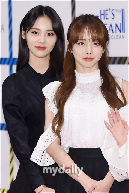 curedove's tweet photo. they look like That one super rich couple in high school who goes to prom just to take nice pics and then leaves https://t.co/HthtJFaV3H