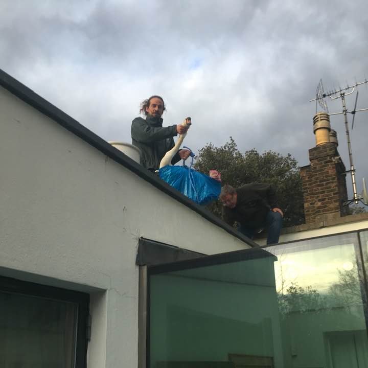 A few days later, just before the UK went into lockdown, our Heath rangers received a phone call from a woman living nearby who had an unusual problem: there was a swan stuck on her roof. Could it be our widowed swan? All in a day's work for our rangers, so up they climbed...