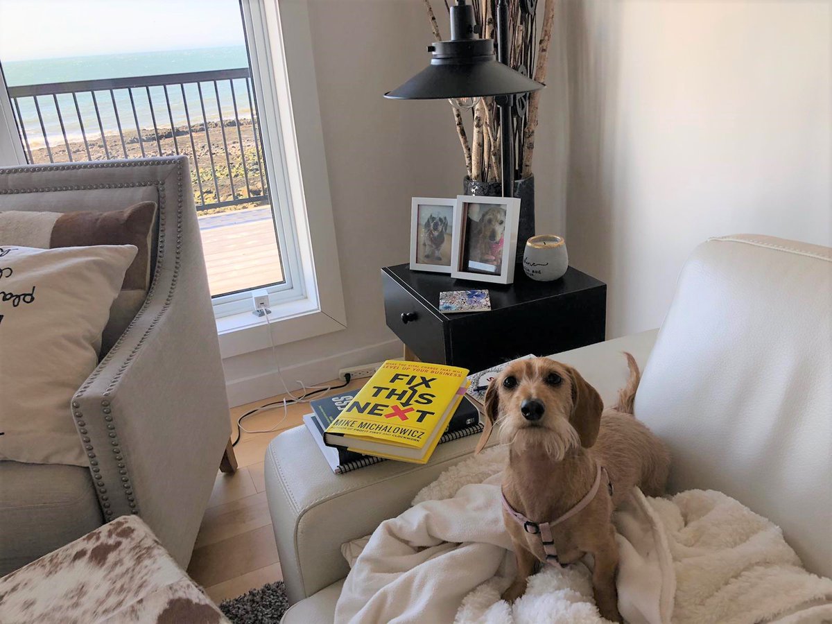 LisaLarter's tweet image. I&apos;ve been looking forward to hosting the #ThoughtReadersMasterClass for months... and today&apos;s the day!

245+ Entrepreneurs. 
All studying @MikeMichalowicz &apos;s #FixThisNext book.
Implementing action.
Huge business changes are coming!

PS: Sunshine and I are very excited 👇🏼😘