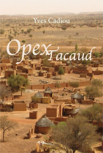 En 1978, au coup de sifflet présidentiel (parfois un peu hésitant) des avions Jaguar fonçaient au nord de la Mauritanie pour détruire des raids du Polisario, le 2e REP sautait sur Kolwezi et les groupements de Tacaud écrasaient les forces rebelles au centre du Tchad.