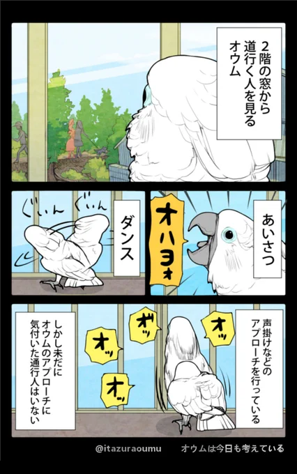 ここが後に家庭菜園スポットに#漫画 #オウムは今日も考えている 