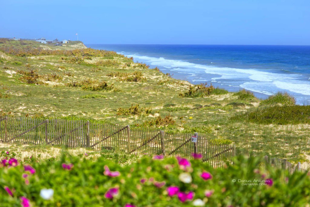 Sunrise in Eastham - Cape Cod National Seashore.
June in Cape Cod photos dapixara.com/News/files/cap…  #capecod #NationalParks <a href="/dapixara/">DAPIXARA</a>