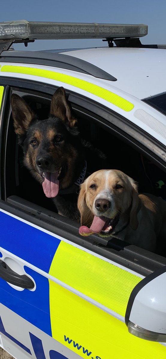 NSPoliceDogs tweet picture