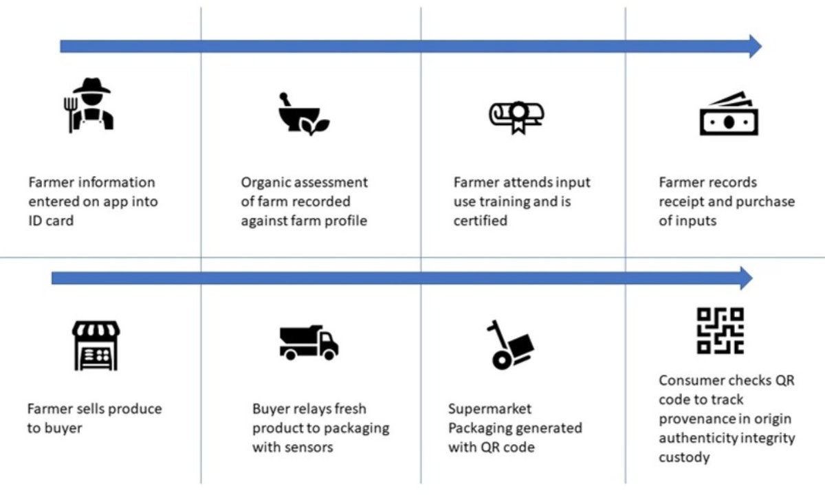 Nawsheen Hosenally tweet media