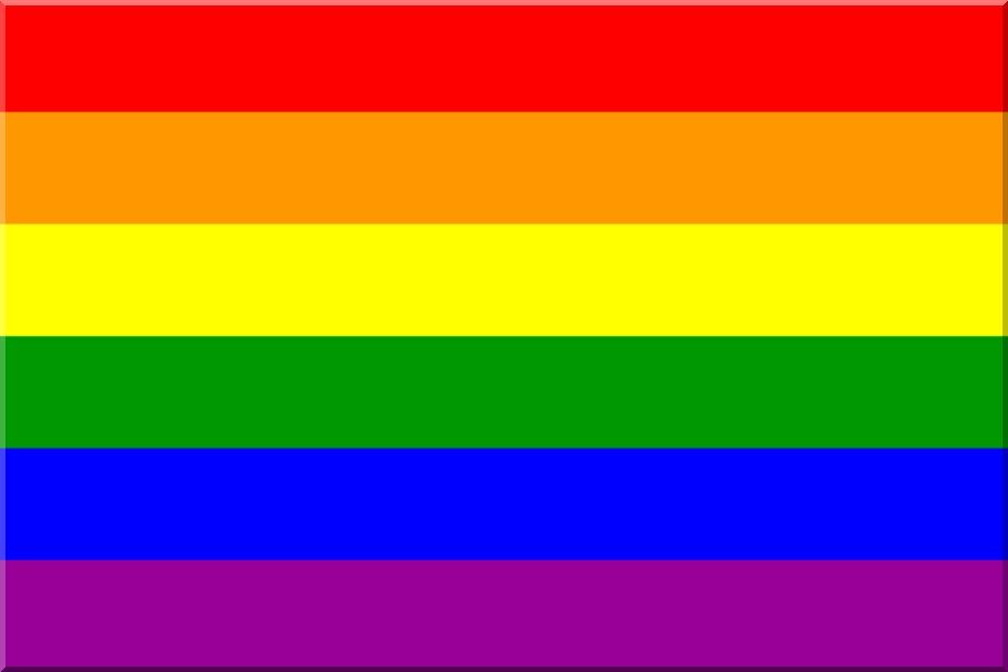 First, the LGBT+ Community Flag. While originally used to represent people with same-sex orientation, it now encompasses all people who aren't cis, hetero, etc. I really wanted to make the platform here rainbow coloured but it messed with certain moves so I stuck to a solid pink.