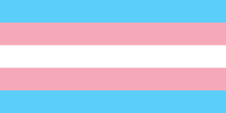By far the most prominent flag is the Transgender Flag. Transgender does not only refer to people who have/plan to "transition" from their birth assignment, but actually encompasses all people whose gender/expression doesn't match their birth assignment.