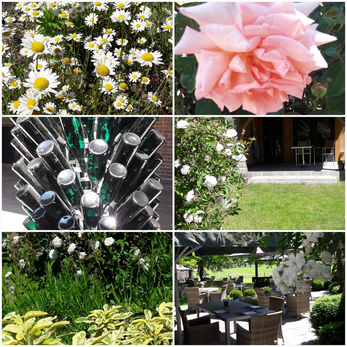 DeWoord's tweet photo. Blij.....weer geopend!
Met een jubileum #aspergelunch
Taart uit eigen keuken, Γ la carte
#Limoncellospritz
Cora's sweet #GIN met rabarbersiroop. Naar het #tuinterras achter de Woord? Alleen bereikbaar via de voordeur. https://t.co/36GKMMuiPX