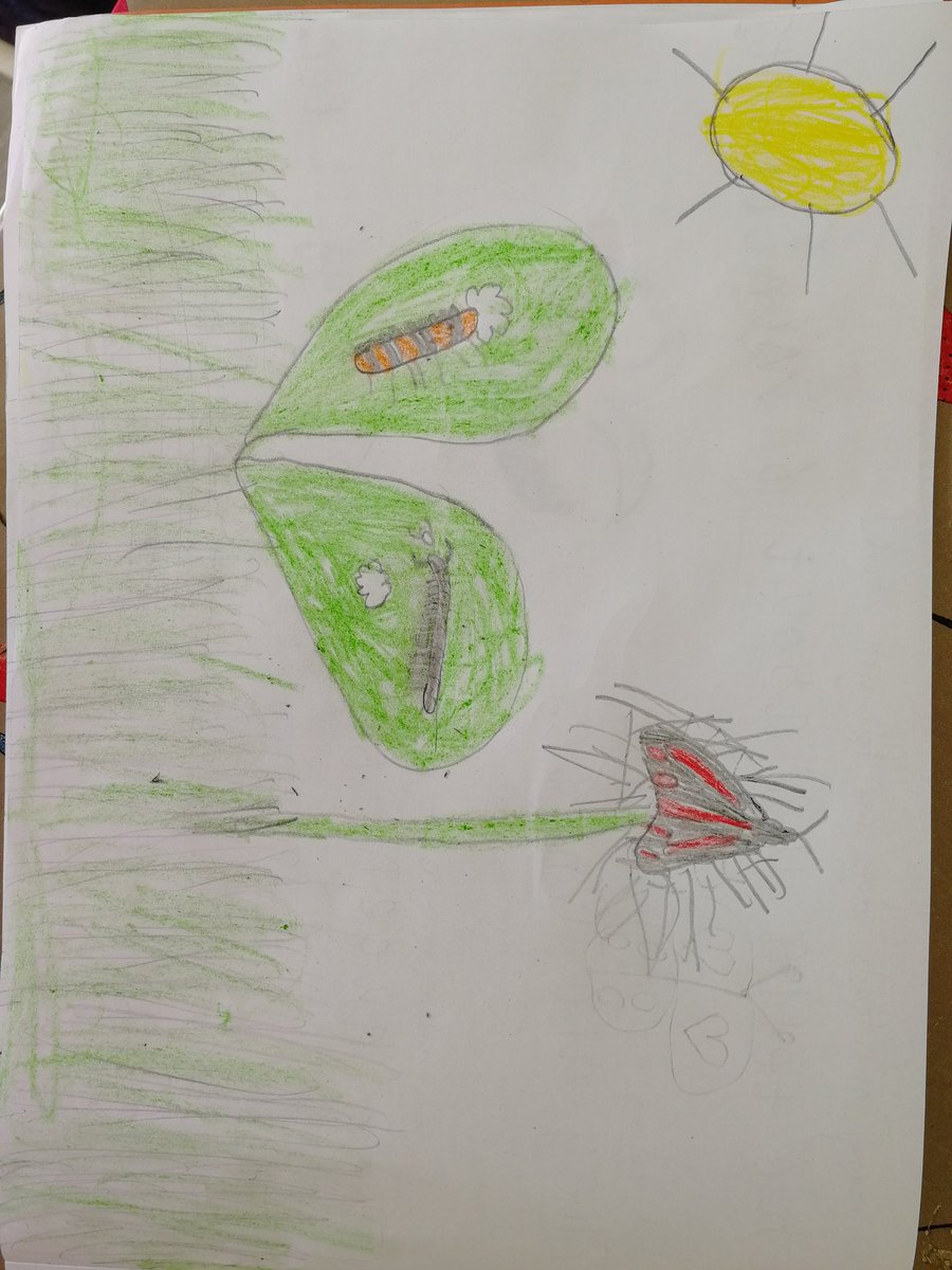 Chris Nall tweet media