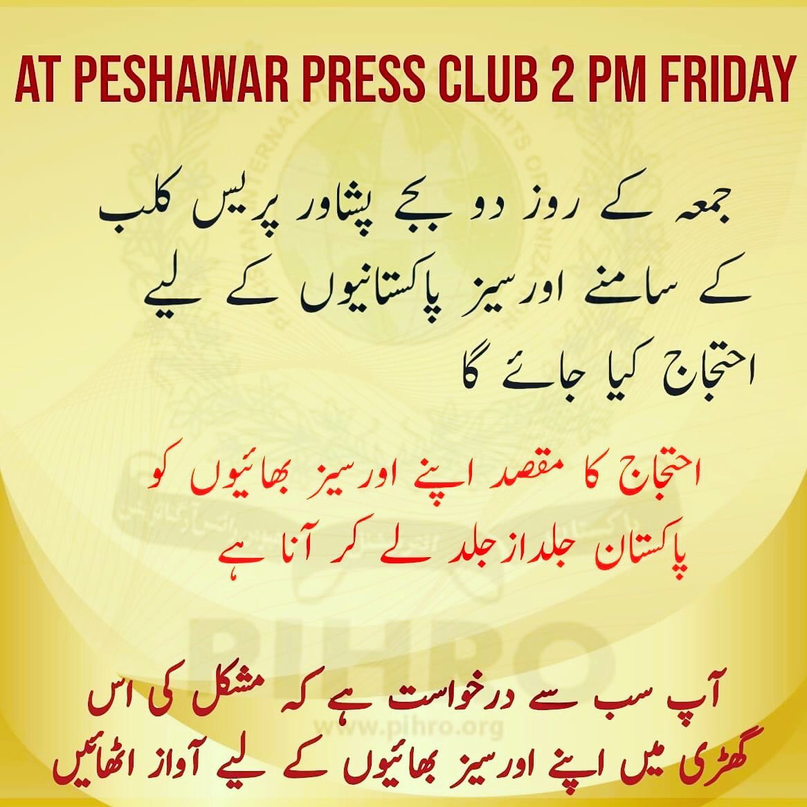 WASim4040's tweet photo. Protest in front of Peshawar Press Club on Friday for Overseas Pakistanis @ImranKhanPTI @MuradSaeedPTI @AliZafarsays @shazbkhanzdaGEO @SaleemKhanSafi @MediaCellPPP @HaiderHotiANP @SAfridiOfficial @aaj_urdu https://t.co/FkcuCZHZkk
