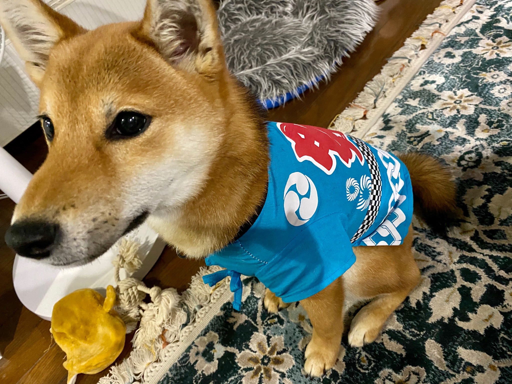 粉on Twitter 夏服https T Co Ulyeswiy1v Twitter