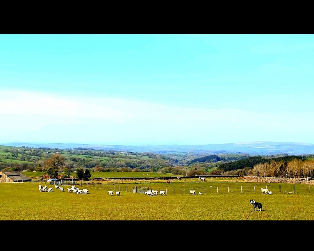 Happy Monday from a very sunny &amp; hot #ForestofBowland ☀️❤🙂
#lancashire #farming #stunning #views #lovewerewelive #lucky #staysafe 

<a href="/forestofbowland/">Forest of Bowland National Landscape</a> <a href="/FarmersWeekly/">Farmers Weekly</a> 
<a href="/lancashiremag/">Lancashire Magazine</a>