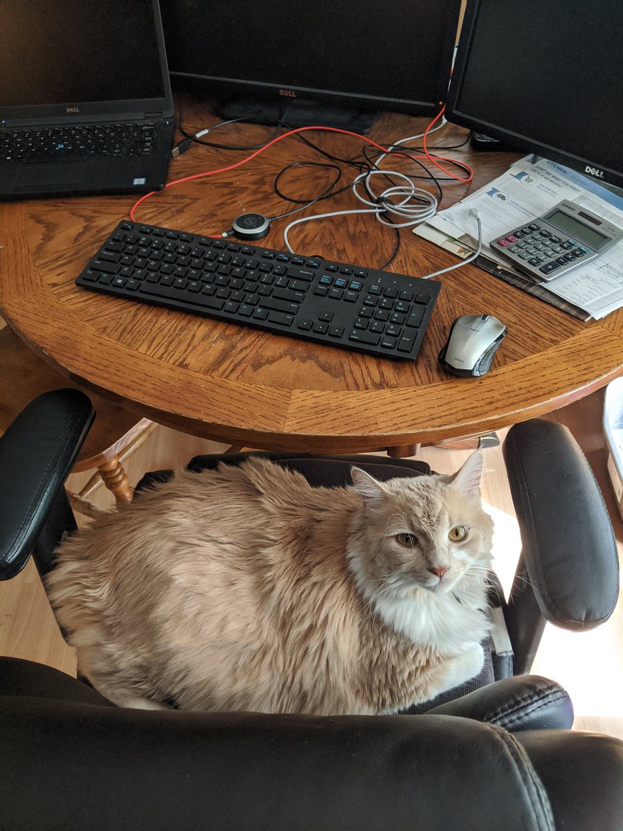 After a couple months of working from home sitting on a hard wood kitchen table chair, I finally swung by my office over the weekend to grab my comfy chair. Looks like I get to keep using the kitchen table chair 