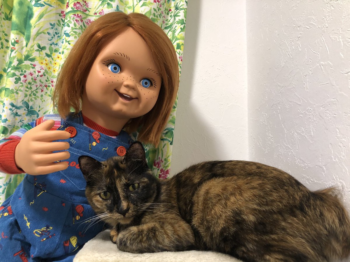 専用☆彡　チャッキーと仲良し(*≧∀≦*) リボーンドール　ハロウィン ビッグサイズ！喋って動く チャッキードール