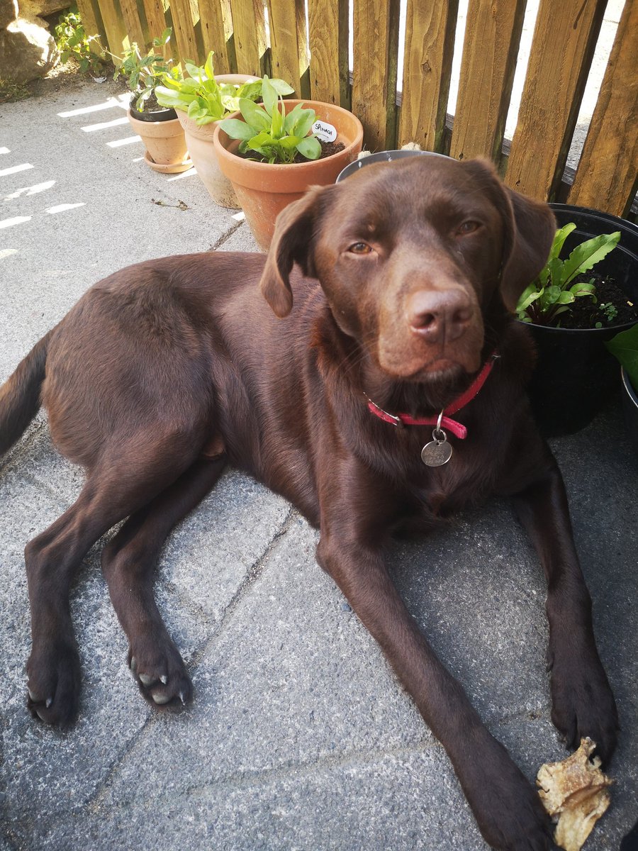 James Skaith tweet media