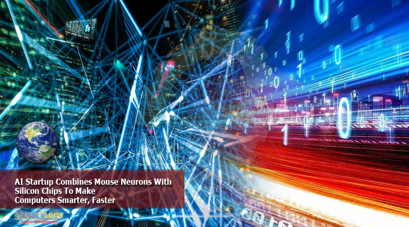 techtimespk's tweet image. #AI_Startup #Computer_Chips #Computers_Smarter #Mouse_Neurons #Hi_Tech #World #TechnologyTimes - is.gd/3dclw7