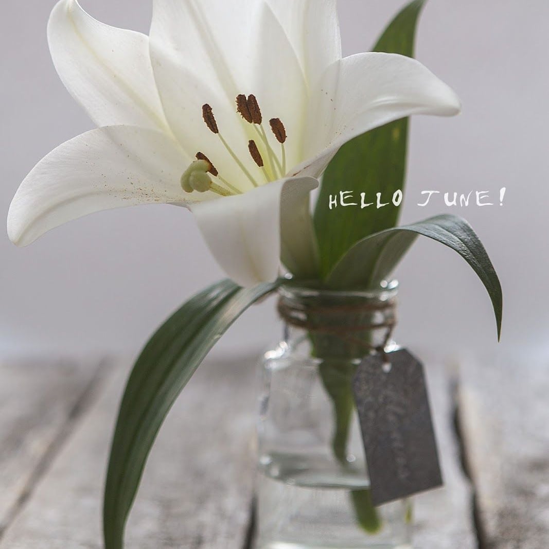 BlogwithK's tweet photo. New Day New week New month 💞🥰 every Day Is a fresh start so don't dwell on yesterday
Good Morning Good Life 🌅📝📕🧘♀️💖🥰 #June1st #newmonth #NewSTART #goals #positiveenergy #newmindset #novmesec #zacetek #junij #cilji #momlife #momwifeboss #mamasefica https://t.co/pUJoQPuPTN