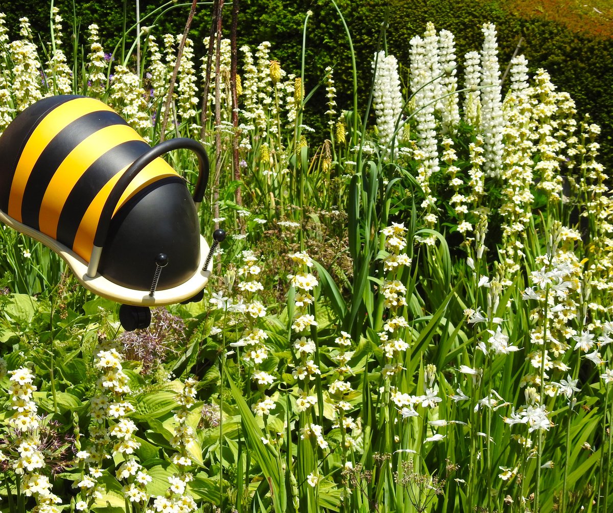 hippychick_com's tweet photo. As today not only marks #June1st but also the beginning of Garden Wildlife Week, we decided to let our Wheelybugs loose in the garden. Here's what they got up to. #wheelybugs #gardenwildlifeweek #gardens #summer #toys #preschool https://t.co/ylXhycST0h