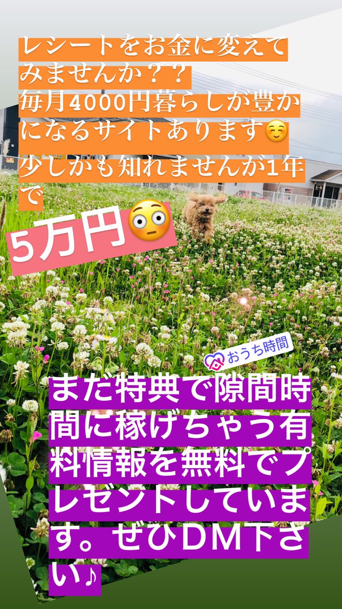 keisukeksk_suk8's tweet photo. 専業主婦やお小遣いが今よりも欲しいお父さん。隙間時間で少しだけ稼いでみませんか？自分で実際体験してみておすすめの情報です☺️
簡単に大金は手に入りませんが、毎月3万前後(特典も合わせて)誰でも稼げます！サポートも充実しています。
ちなみに私はひと月で3万6千円稼ぎました🥰 https://t.co/AMDDfGIRrj