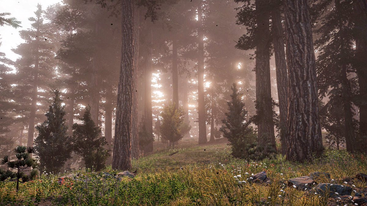 Chris25551's tweet photo. I take far too many pictures in this game 😍

Game : #FarCry5 
Developer : @Ubisoft 
Platform : #XboxOne 

#VirtualPhotography #Gametography @TD2Photomode #Ubisoft #VGPUnite #XboxShare https://t.co/ryp35zpIC5