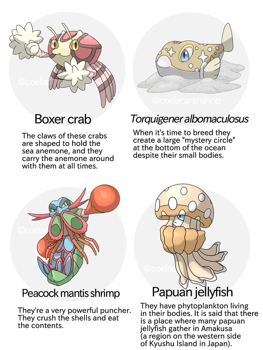 If you use "Dive" in region Hoenn, you'll find Clamperl or Relicanth, but If you use "Dive" in Kyushu and Okinawa (the model for Region Hoenn), you will see these creature.