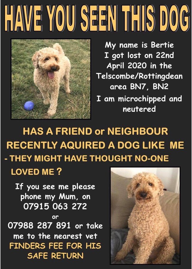 Bertie is missing (@bertie_is) on Twitter photo It’s been 40 days & 40 nights since our poor, lost dog was last spotted in Telscombe village-4 miles from the Amex
Everyone round here ❤️ our 🏆 local team <a href="/OfficialBHAFC/">Brighton & Hove Albion</a> #bhafc
Please would you RT so all your followers can keep an 👁 out? We just need 1 sighting to #FindBertie It’s been 40 days & 40 nights since our poor, lost dog was last spotted in Telscombe village-4 miles from the Amex
Everyone round here ❤️ our 🏆 local team <a href="/OfficialBHAFC/">Brighton & Hove Albion</a> #bhafc
Please would you RT so all your followers can keep an 👁 out? We just need 1 sighting to #FindBertie