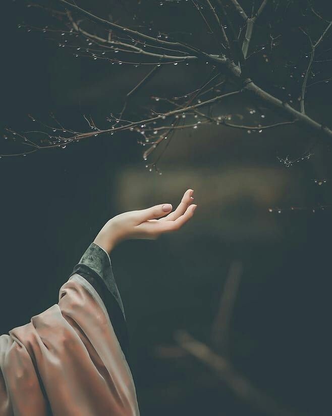 Qui la fiamma della materia,
qui la spiritualità mediatrice, apertamente riconosciuta,
sempre protesa,
il risultato delle forme visibili,
colei che soddisfa ed ora
avanza dopo la debita attesa,
sì, ecco avanzare la mia signora, l’anima.

W. Whitman
#PensieroIndelebile #ScrivoArte