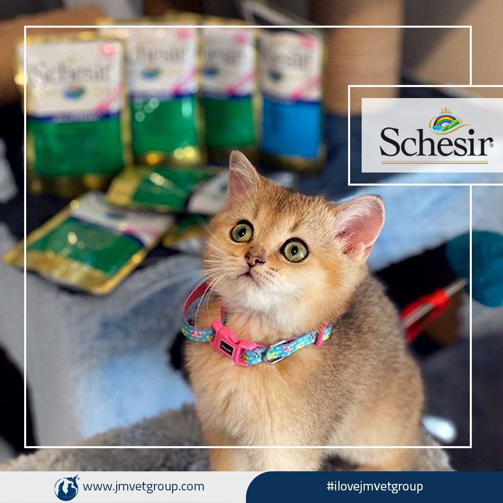 jmvetgroup's tweet photo. Schesir - 100% Natural Ingredients ❤️🧡💛💚💙💜✨
#ilovejmvetgroup
#jmvetgroup
#schesir
#schesiriran
#schesirtips
#شسير
#شسير_ايران https://t.co/sN4nyFAa9T