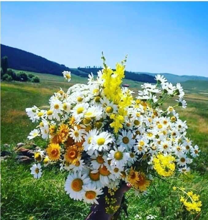 leylasultan__'s tweet photo. Gününüz Aydın , sağlığınız yerinde , 
Sevdiklerimiz yanımızda 
Rızkımız ve ömrümüz 
Bereketli olsun ....

Hayırlı sabahlar ☕️ https://t.co/Qnt0Kv0chX