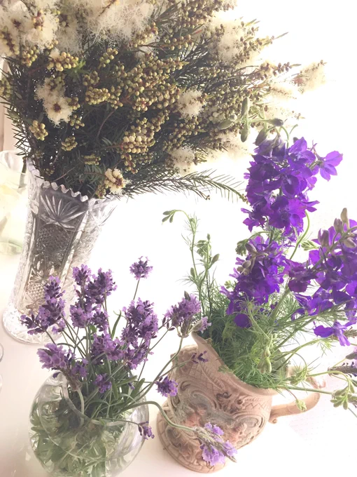 今日のお花。ティーツリー100円!!!アロマのティーツリー大好きだけど、現物初めてみました。ふわふわ!!いい匂い!!!ラベンダーは剪定のため収穫。品種の違うラベンダー(3枚目)を新しく買ってきたので育てるよ。 
