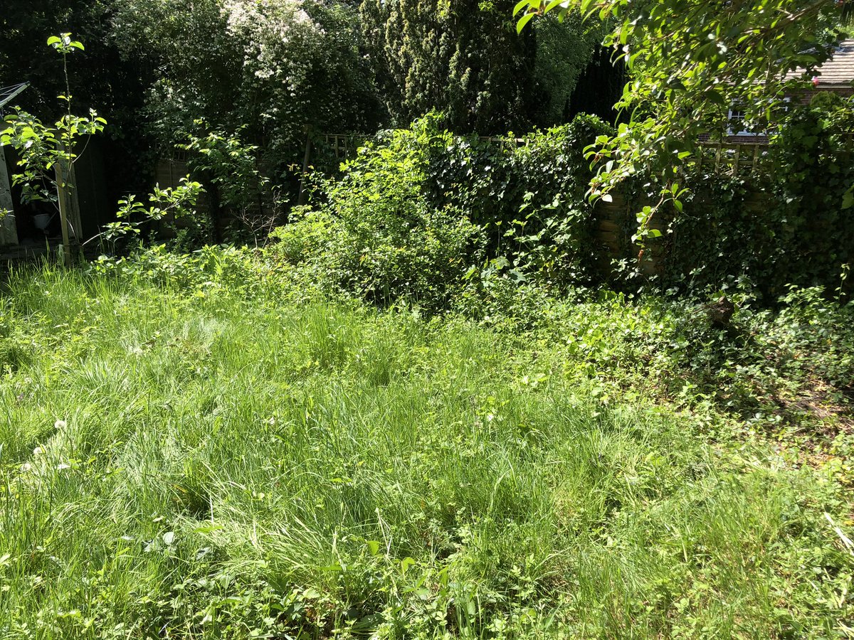 Ben Wodecki tweet media