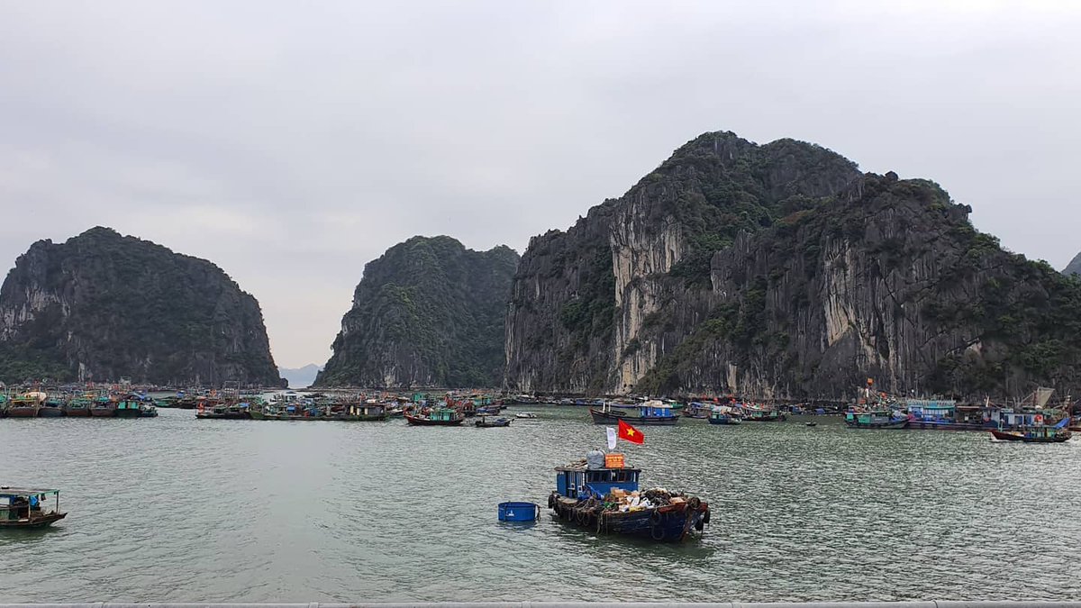 lienbang's tweet photo. VỊNH HẠ LONG - Kỳ quan thiên nhiên thế giới! Bạn t���ng đến đây? 

#DuLịchLienBang 
#DuLịchHạLong
#VịnhHạLong https://t.co/wXQCQRApw6