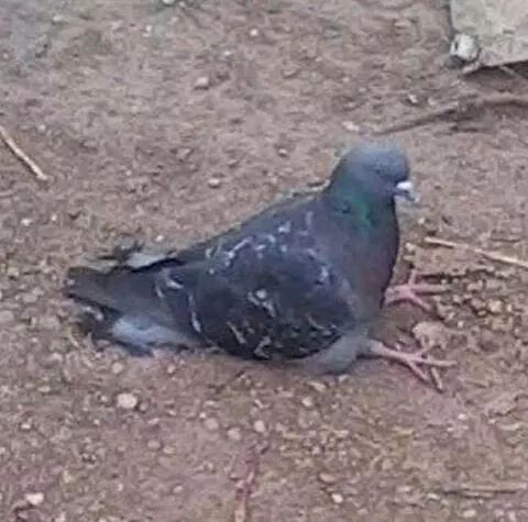 128gamers's tweet photo. @MyloBrizuela Esperando que más nos trae junio jaja https://t.co/d0mAJXCdJ3