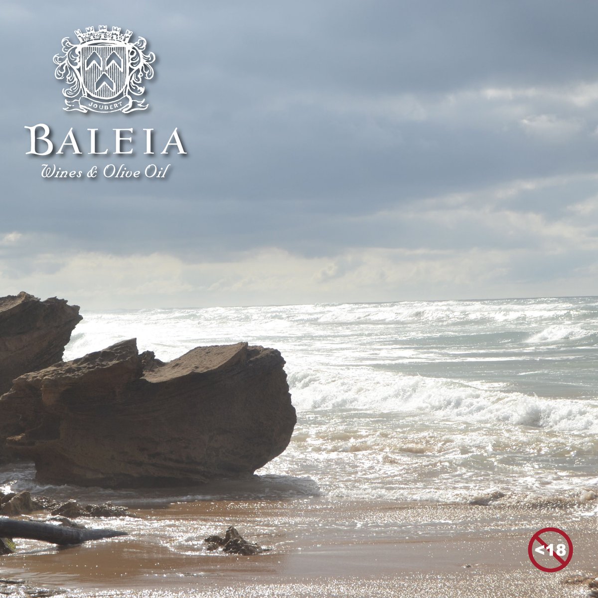 Everything is better at the seaside. 
#BaleiaWinesandOliveOil 
#seaside #stilbaai