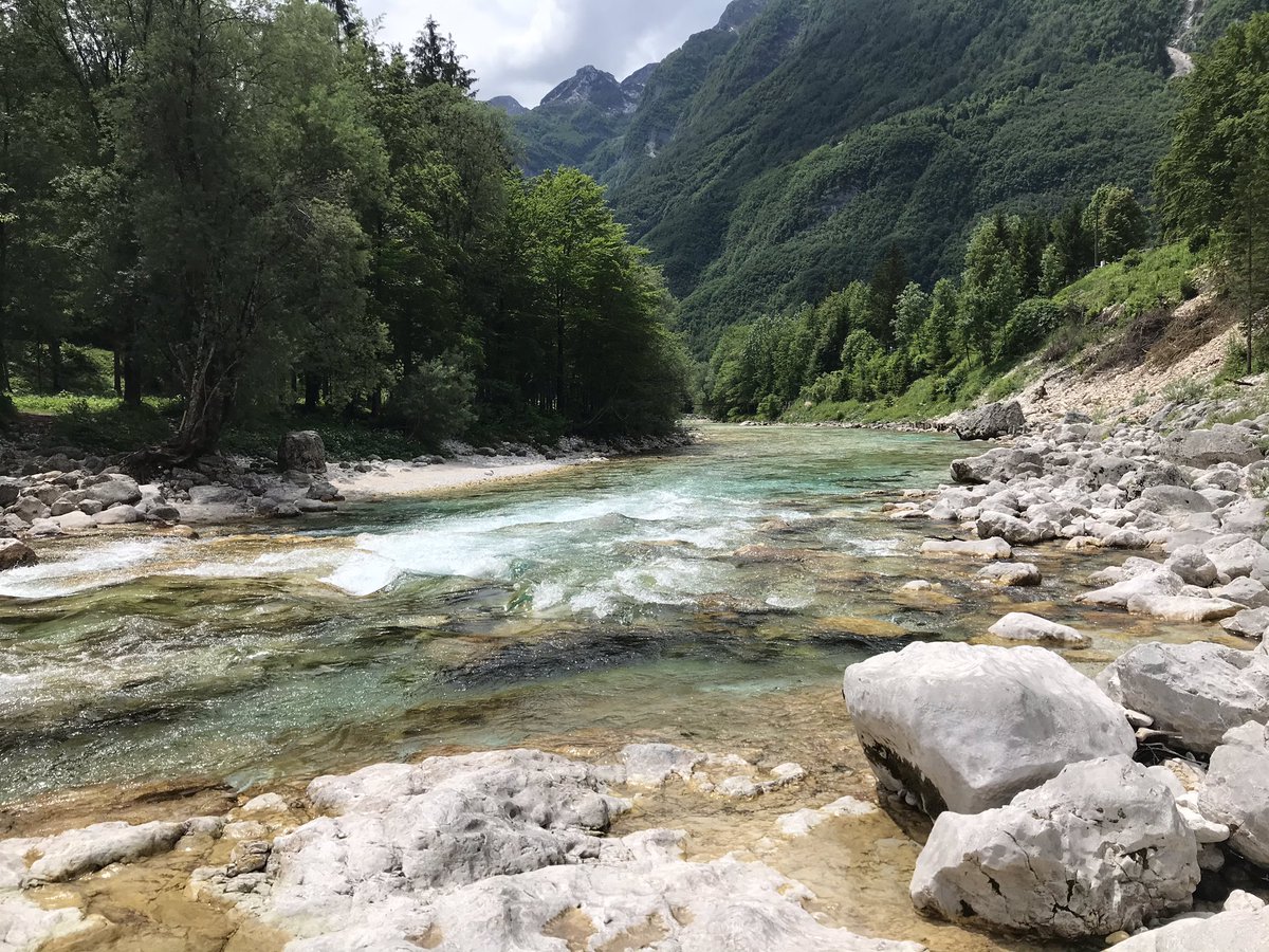 MatejGodec's tweet photo. Motivation Monday #marbletrout 💚
#slovenia #flyfishingodec #flyfishingadventure #slovenija #muharjenje #socavalley #flyfishingschool #flyfishingguide https://t.co/orikYu1fzr