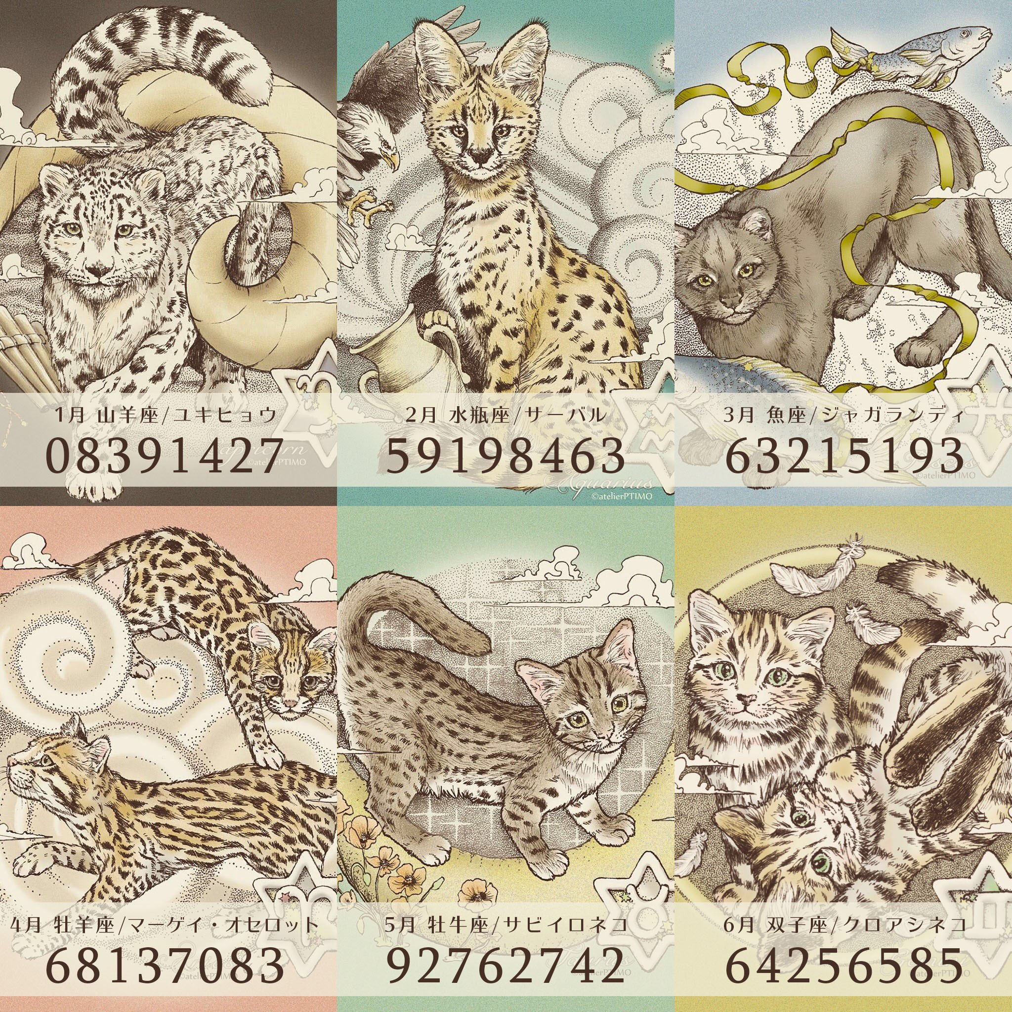 クロアシネコ Twitter Search Twitter