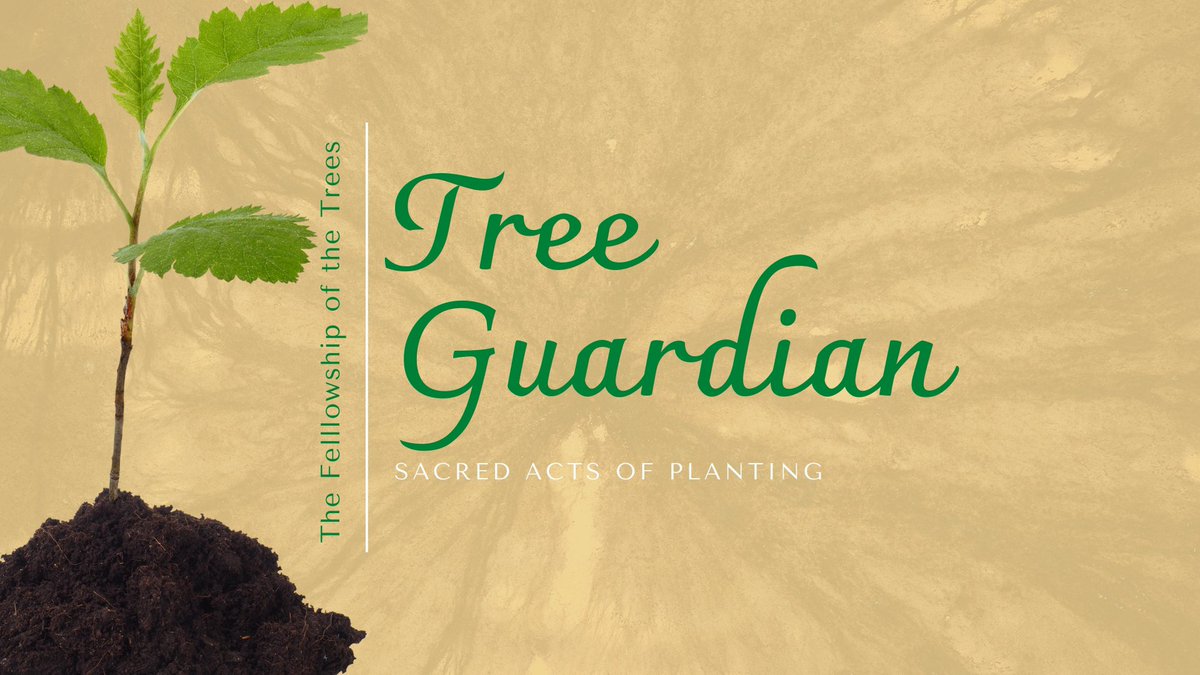 FellowshipTrees's tweet photo. New UK community initiative #micronurseries in your gardens & windowsills. Tending & nurturing tree seeds for 2 years, deepening our relationship with trees including their role - sharing photos, words, songs along the journey #community #thriving #trees #sacred #treeguardian https://t.co/fNE7dkUv4r