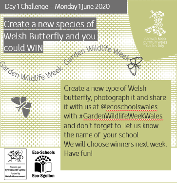 EcoSchoolsWales's tweet photo. We're celebrating #WalesNatureWeek #GardenWildlifeWeek with a week full of challenges! There's even a chance to win some prizes! First challenge - create your own butterfly 🦋👐 Share your butterfly by tagging us + tell us your school name via #GardenWildlifeWeekWales https://t.co/sYHuTqow1k
