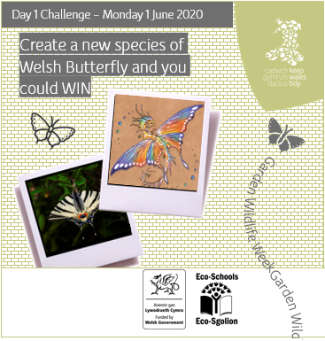 EcoSchoolsWales's tweet photo. We're celebrating #WalesNatureWeek #GardenWildlifeWeek with a week full of challenges! There's even a chance to win some prizes! First challenge - create your own butterfly 🦋👐 Share your butterfly by tagging us + tell us your school name via #GardenWildlifeWeekWales https://t.co/sYHuTqow1k