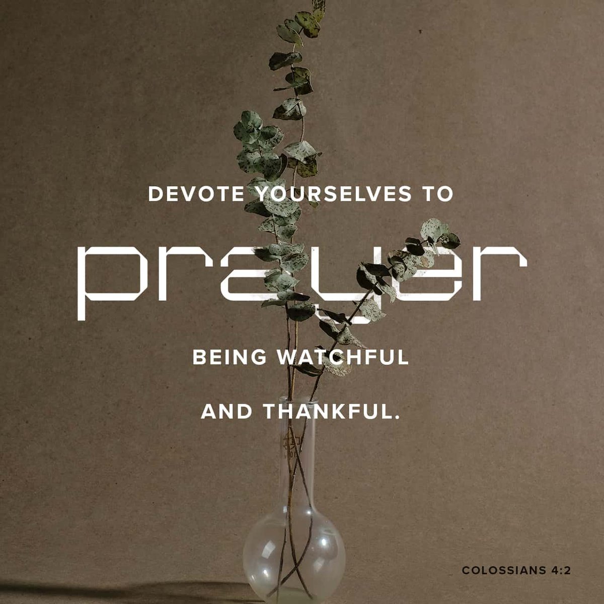 LocalvineyardVA's tweet photo. Verse of the Day 
//
Devote yourselves to prayer, being watchful and thankful.”
Colossians 4:2 NIV https://t.co/naS1uLLalK