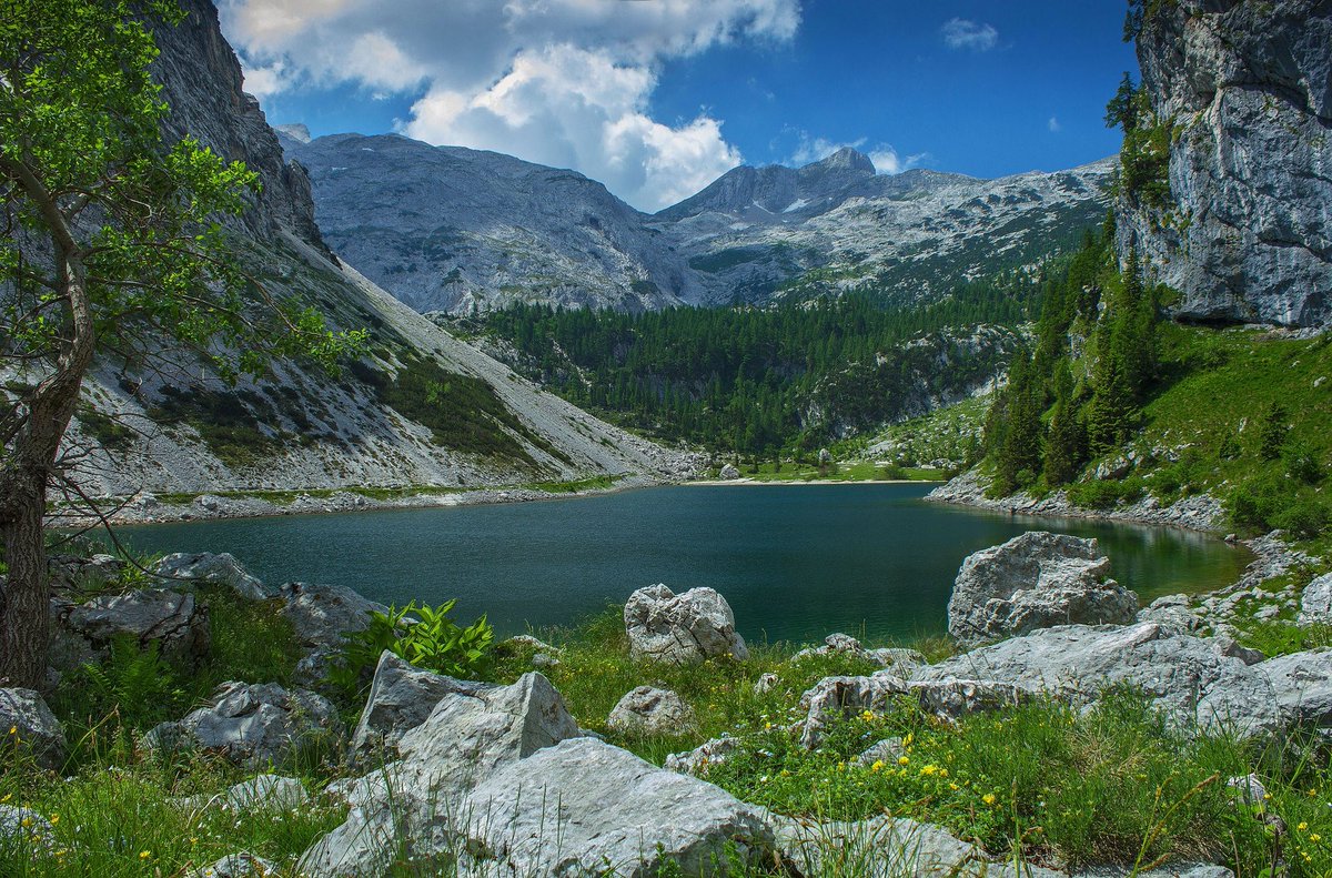 travel_slovenia tweet picture