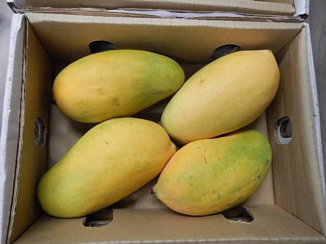 elixir_fruits tweet picture