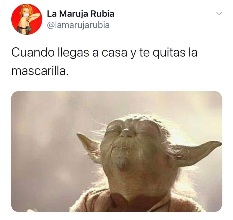 WhiteRoseBlog's tweet photo. Que veranito vamos a pasar... #humor https://t.co/QHAemqxz6C