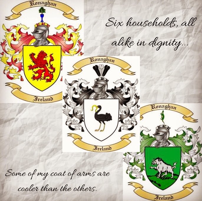 lisaronaghan's tweet image. Don’t forget your coat of arms &amp;amp; flags when meeting those other 5 households. If you need a drummer and announcer for your arrival, walking 2m behind, I know a guy. #lockdownrules #newrules #meetups #coatofarms #whatsyours #6households #ronaghan