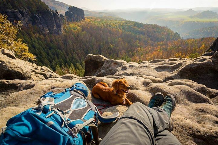 Bank holiday Monday is definitely my favourite kind of Monday! •
•
•
•
•
#dogsofinstagram #hikingdogsofinstagram #hikingdogsofinsta #hikingwithdogs #explorewithdogs #dogsthathike #dogsonadventures #thegreatoutdogs #backcountrypaws #mountainlife #adventurewithdogs #advent…