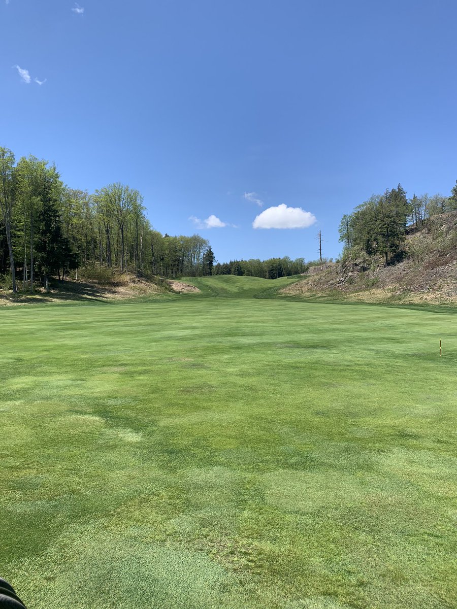 dkkargela2's tweet photo. 18 green Greywalls looking back    https://t.co/KdhYqUpFfh https://t.co/bBDKjd9x8K